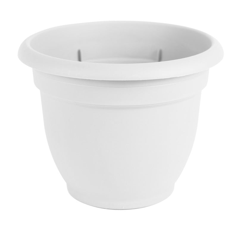 buy plant pots at cheap rate in bulk. wholesale & retail garden maintenance tools store.