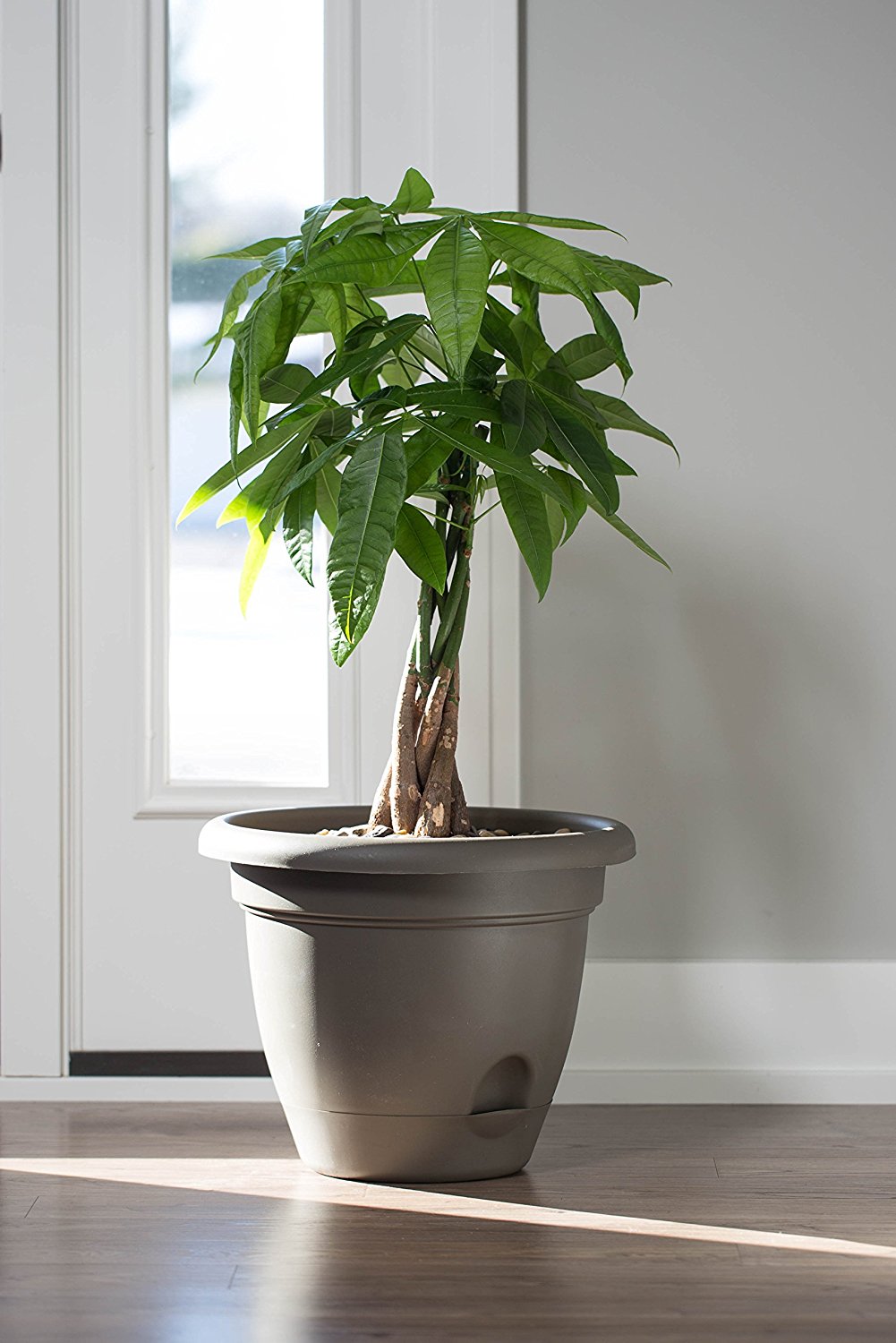buy plant pots at cheap rate in bulk. wholesale & retail landscape supplies & farm fencing store.
