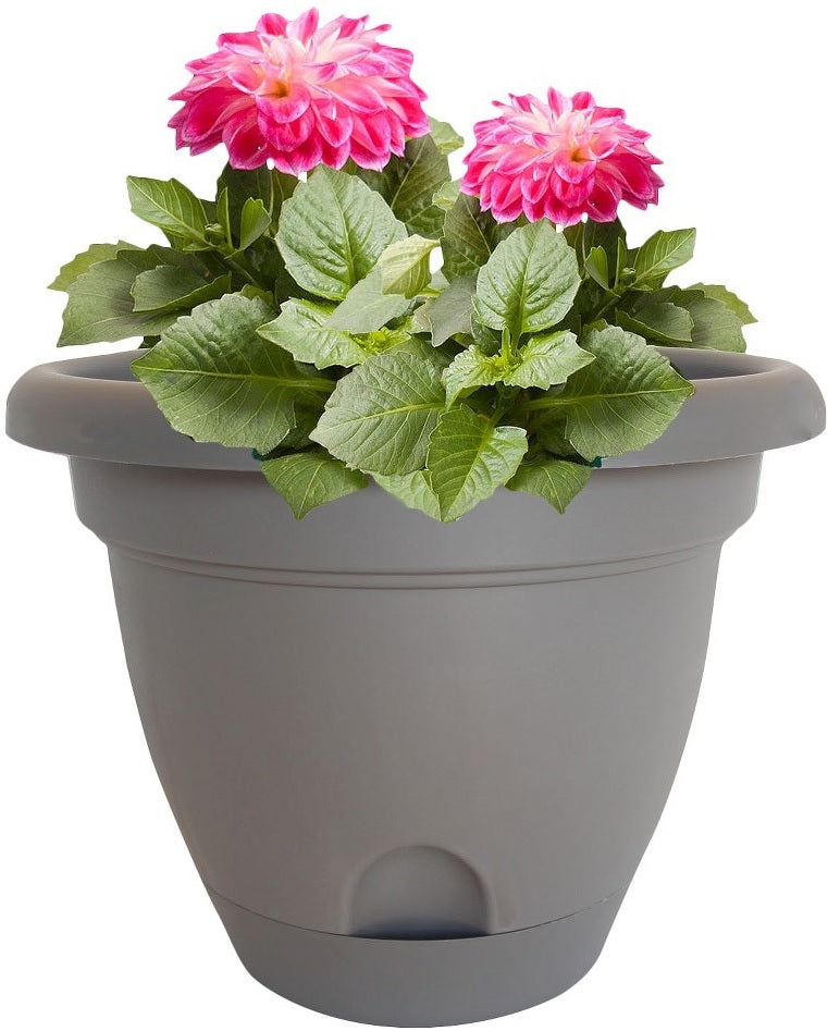 buy planters & pots at cheap rate in bulk. wholesale & retail garden edging & fencing store.