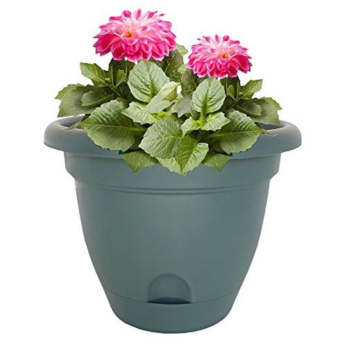 buy planters & pots at cheap rate in bulk. wholesale & retail garden edging & fencing store.