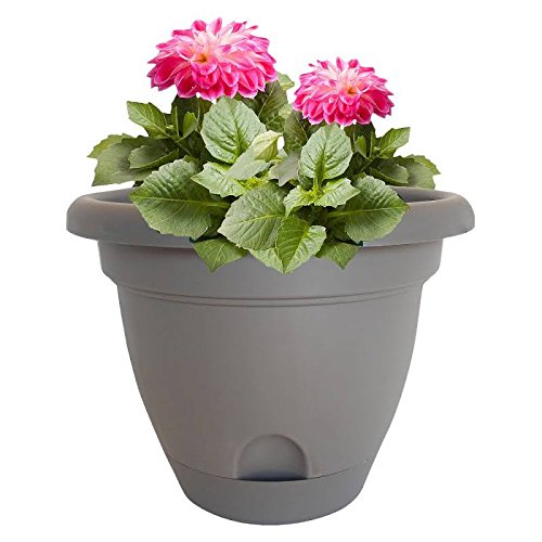 buy planters & pots at cheap rate in bulk. wholesale & retail garden maintenance tools store.