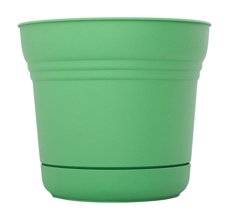 buy planters & pots at cheap rate in bulk. wholesale & retail garden maintenance tools store.