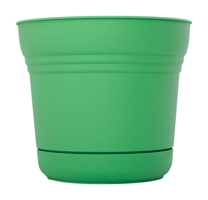 buy planters & pots at cheap rate in bulk. wholesale & retail landscape maintenance tools store.