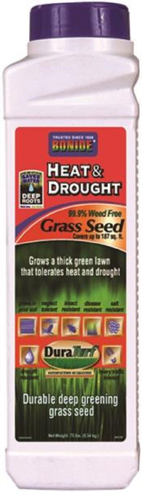 buy seeds at cheap rate in bulk. wholesale & retail lawn & plant care sprayers store.
