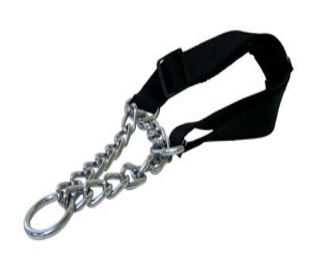 buy dogs collar at cheap rate in bulk. wholesale & retail pet care supplies store.