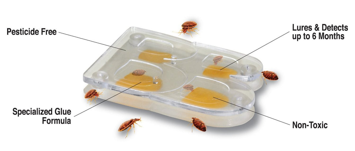 buy insect traps & baits at cheap rate in bulk. wholesale & retail office pest control items store.