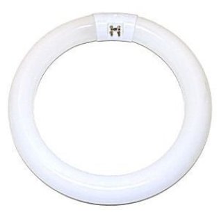 buy fluorescent circline light bulbs at cheap rate in bulk. wholesale & retail commercial lighting supplies store. home décor ideas, maintenance, repair replacement parts