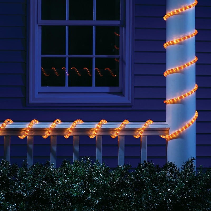 buy halloween lights at cheap rate in bulk. wholesale & retail holiday & festival gift items store.