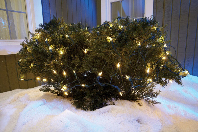 Celebrations 40805-71 LED Net Lights, 4' L x 6' W, 100 Warm White Lights