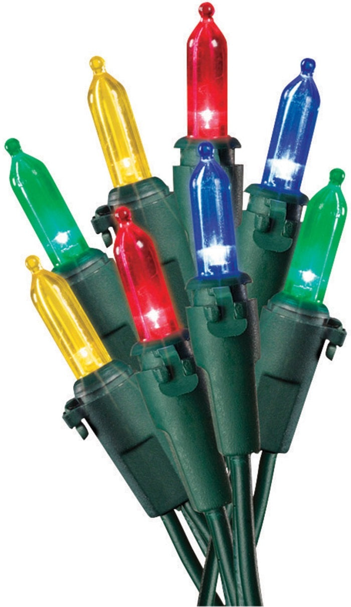 Celebrations 40807-71 LED Net Lights, 4' L x 6' W, 100 Multi-Color Lights