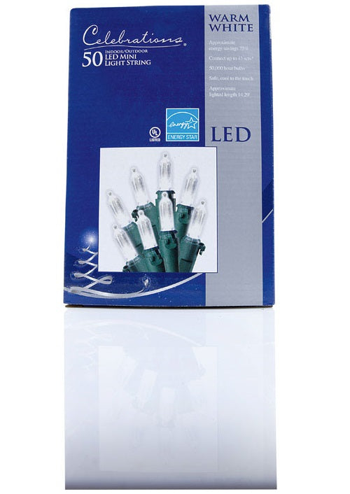 Celebrations 40830-71 Traditional Glass Look LED Light Set, 50 Warm White Lights