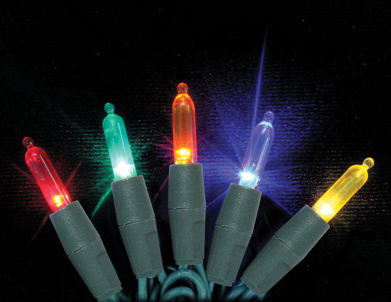 Celebrations 5S150S55M0230AC Mini Multicolored LED Light String, 75.5'