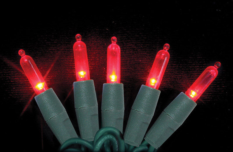 Celebrations 7001088S-03AC Mini LED Light String, Red, 25.5'