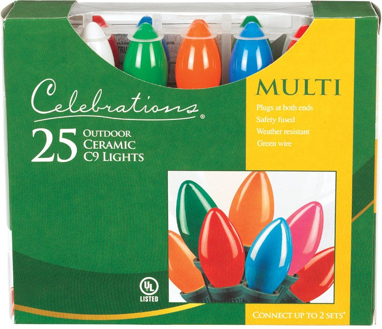 Celebrations C4BG4213 Outdoor Light Set, Multi-Colored, 25 Lights