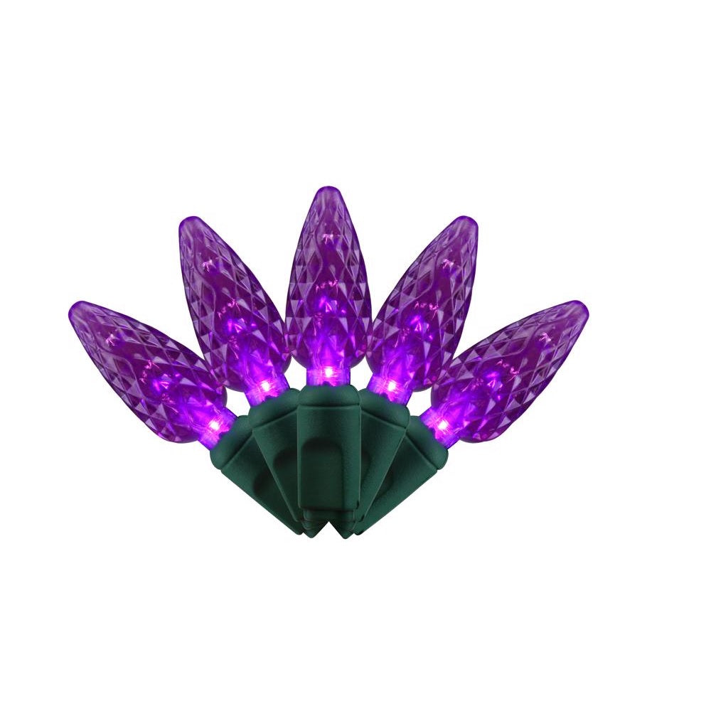 Celebrations C6100PL3A Platinum LED Halloween String Lights, Purple