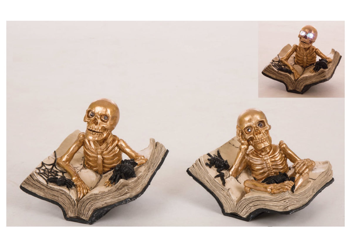 Celebrations JK46337 Halloween Skeleton With Books Tabletop Decoration