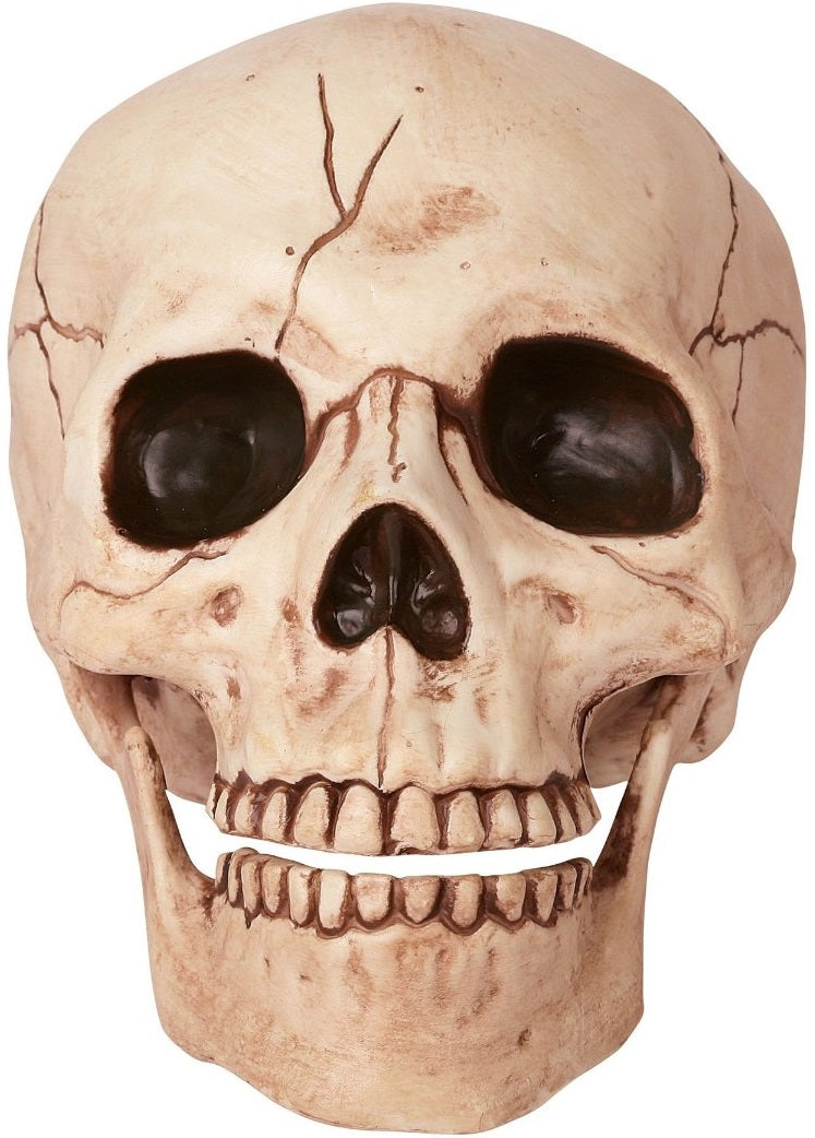 buy halloween indoor & outdoor decorations at cheap rate in bulk. wholesale & retail holiday & festival gift items store.