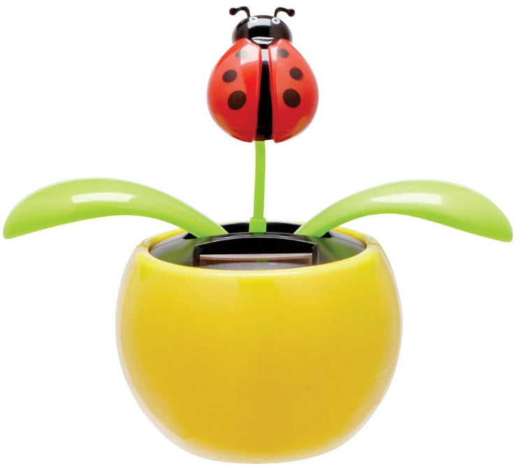 Buy solar jigglers - Online store for stationary & office equipment, solar jigglers in USA, on sale, low price, discount deals, coupon code