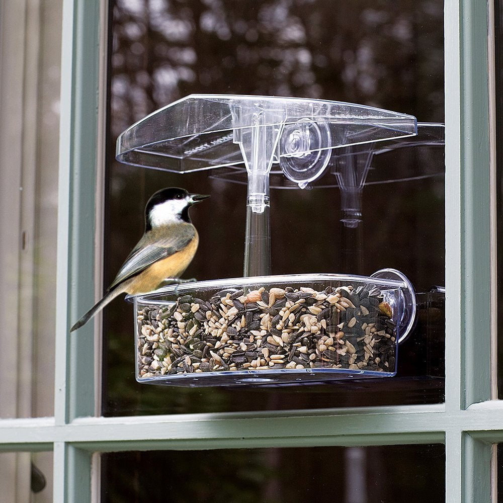 Droll Yankees OWF Observer Window Bird Feeder, Clear