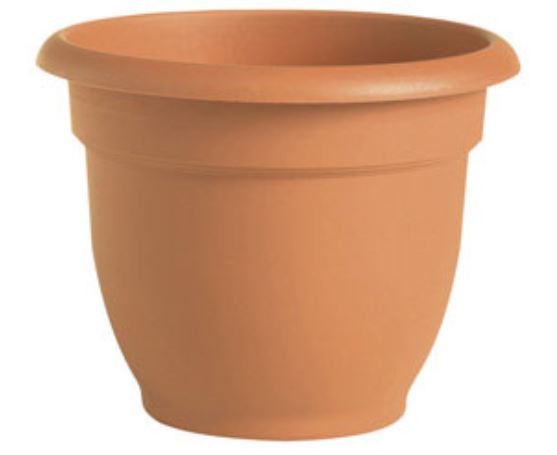 buy planters & pots at cheap rate in bulk. wholesale & retail garden maintenance tools store.