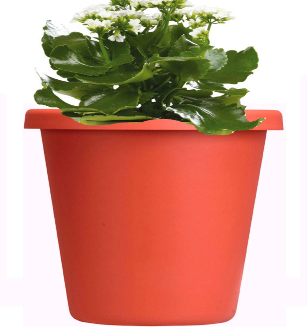 buy plant pots at cheap rate in bulk. wholesale & retail landscape maintenance tools store.