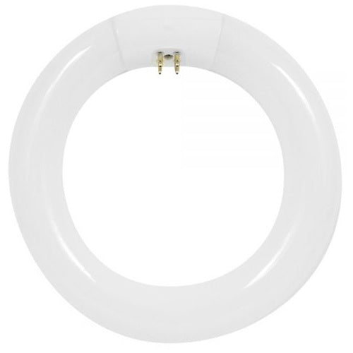 buy fluorescent circline light bulbs at cheap rate in bulk. wholesale & retail lamp supplies store. home décor ideas, maintenance, repair replacement parts