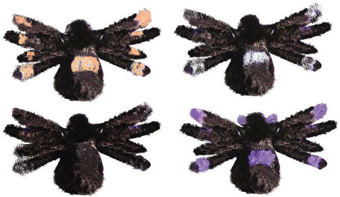 Fun World 9897 Halloween Posable Hairy Spider, 30"