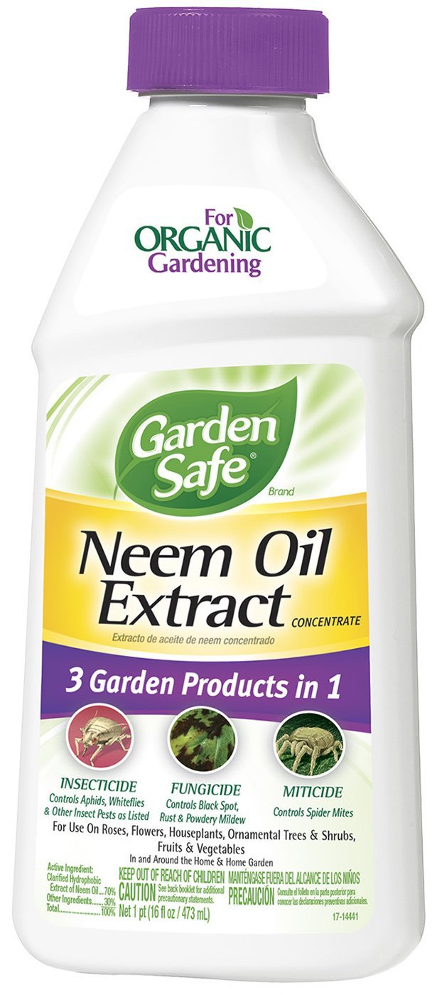 Buy garden safe 93179 16 oz conc neem oil - Online store for lawn insect control, liquid - concentrate in USA, on sale, low price, discount deals, coupon code