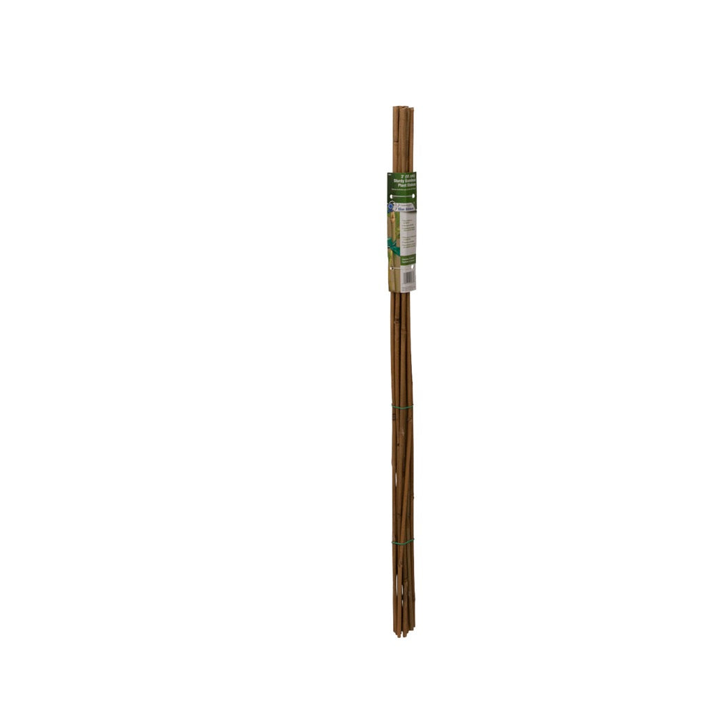 Gardener's Blue Ribbon BB3N Natural Bamboo Plant Stake, 3 Feet