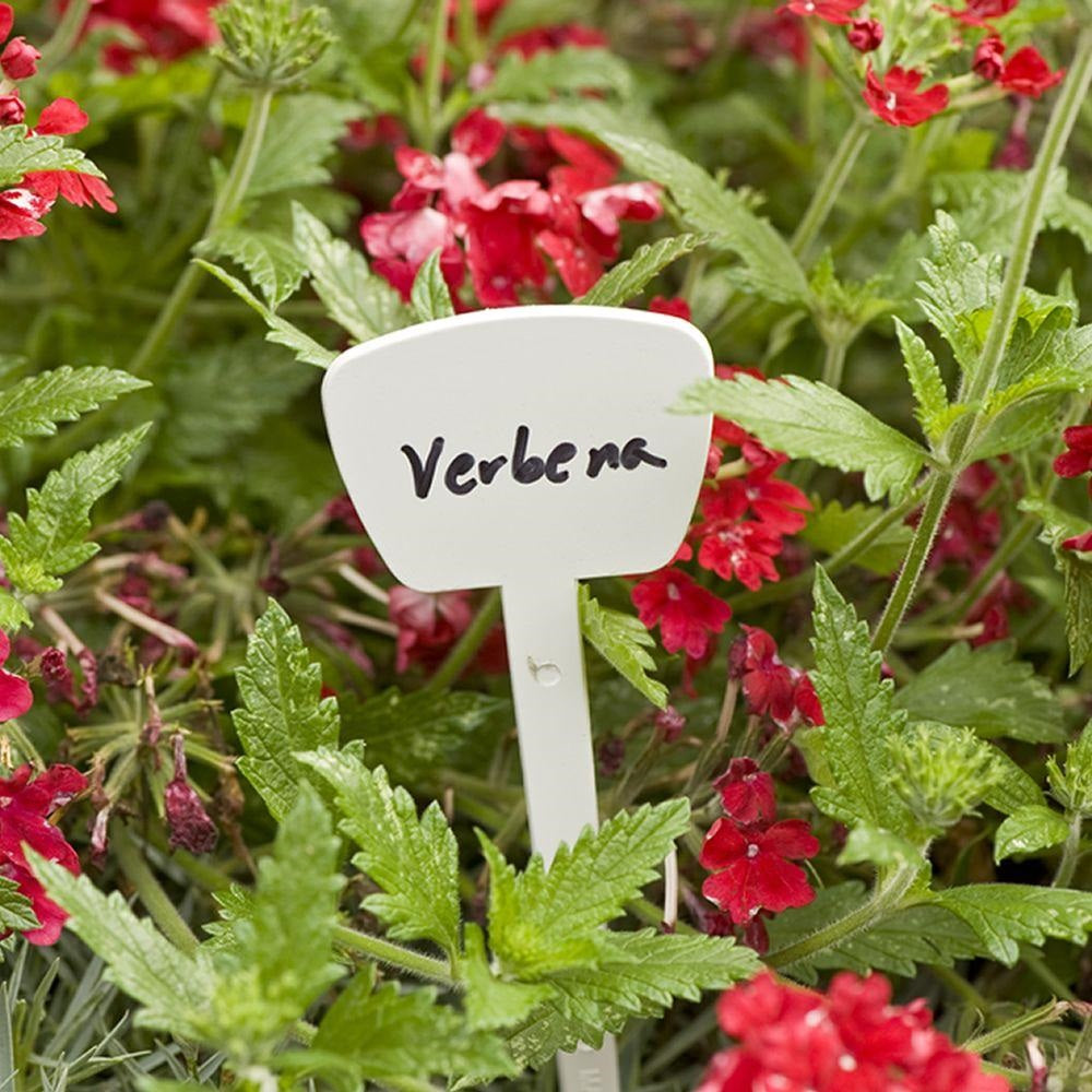 buy plant labels at cheap rate in bulk. wholesale & retail garden supplies & fencing store.