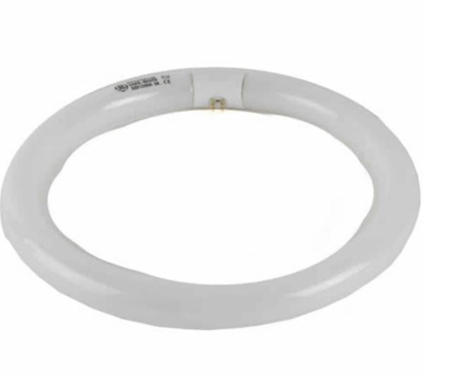 buy fluorescent circline light bulbs at cheap rate in bulk. wholesale & retail commercial lighting goods store. home décor ideas, maintenance, repair replacement parts