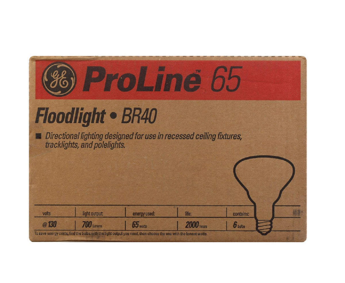GE Lighting 24998 ProLine Floodlight  Incandescent Light Bulb, 65 watts