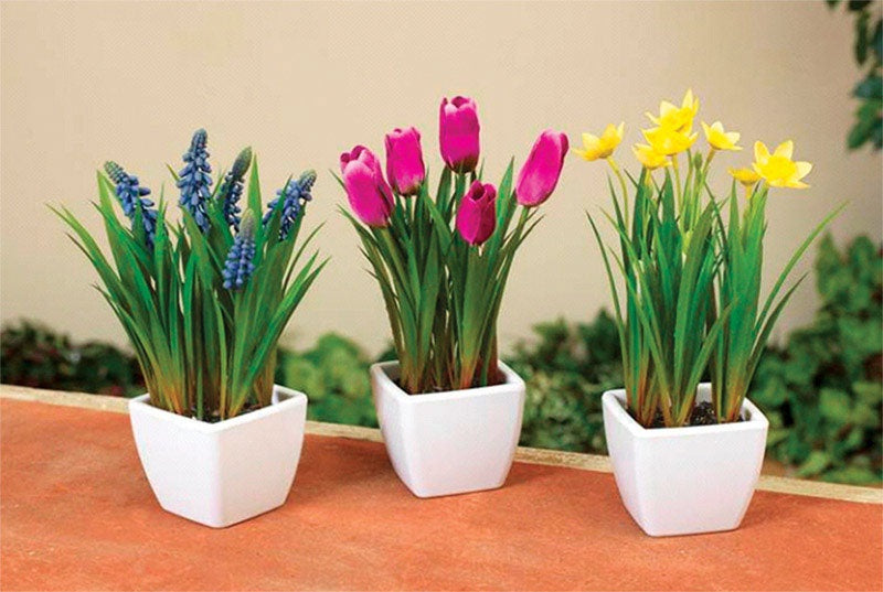 buy lawn garden ornaments at cheap rate in bulk. wholesale & retail garden decorating supplies store.