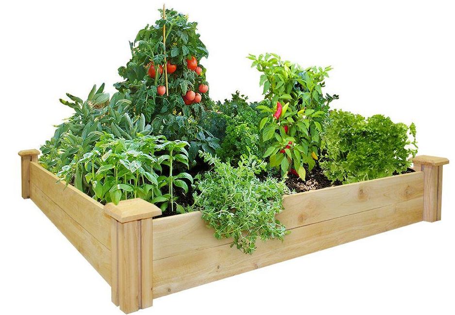 buy raised garden kits at cheap rate in bulk. wholesale & retail farm and gardening supplies store.