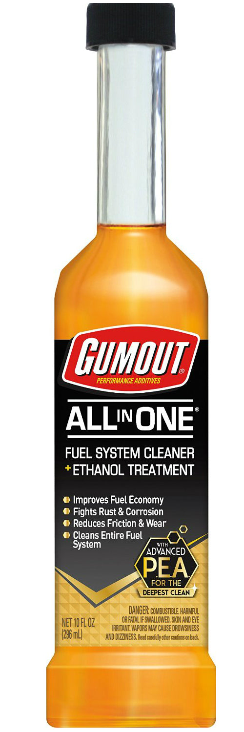 Gumout 800001366 All-In-One Fuel System Cleaner, 10 Oz