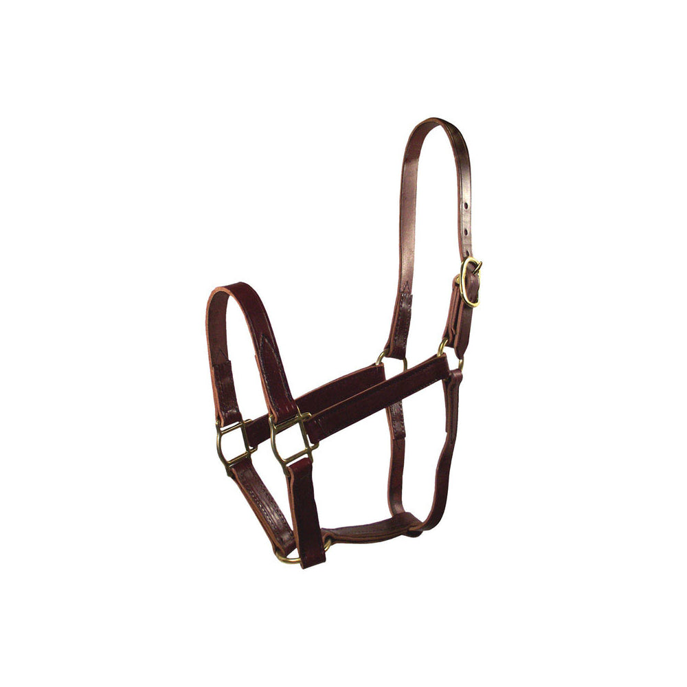 buy horse tack at cheap rate in bulk. wholesale & retail farm maintenance goods store.