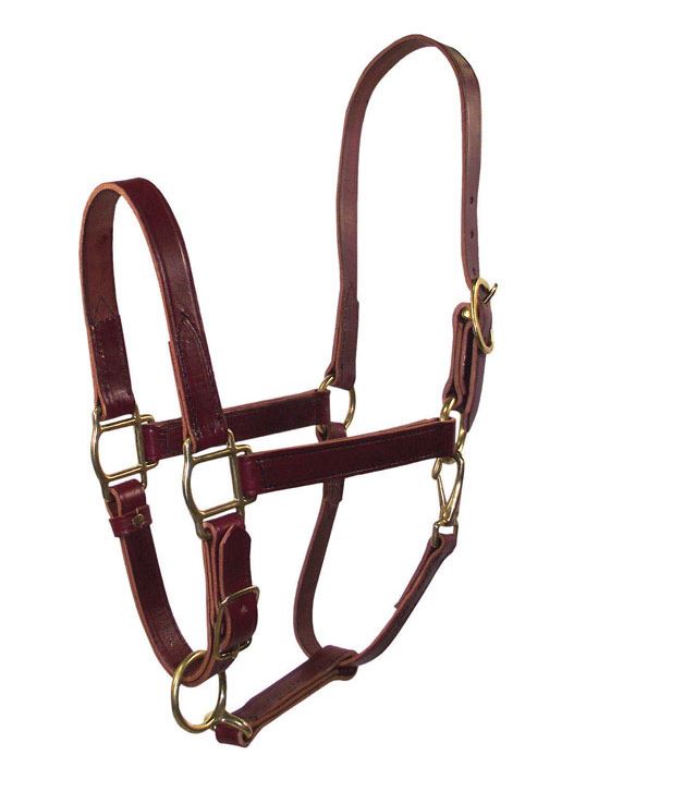 buy horse tack at cheap rate in bulk. wholesale & retail farm essentials & goods store.