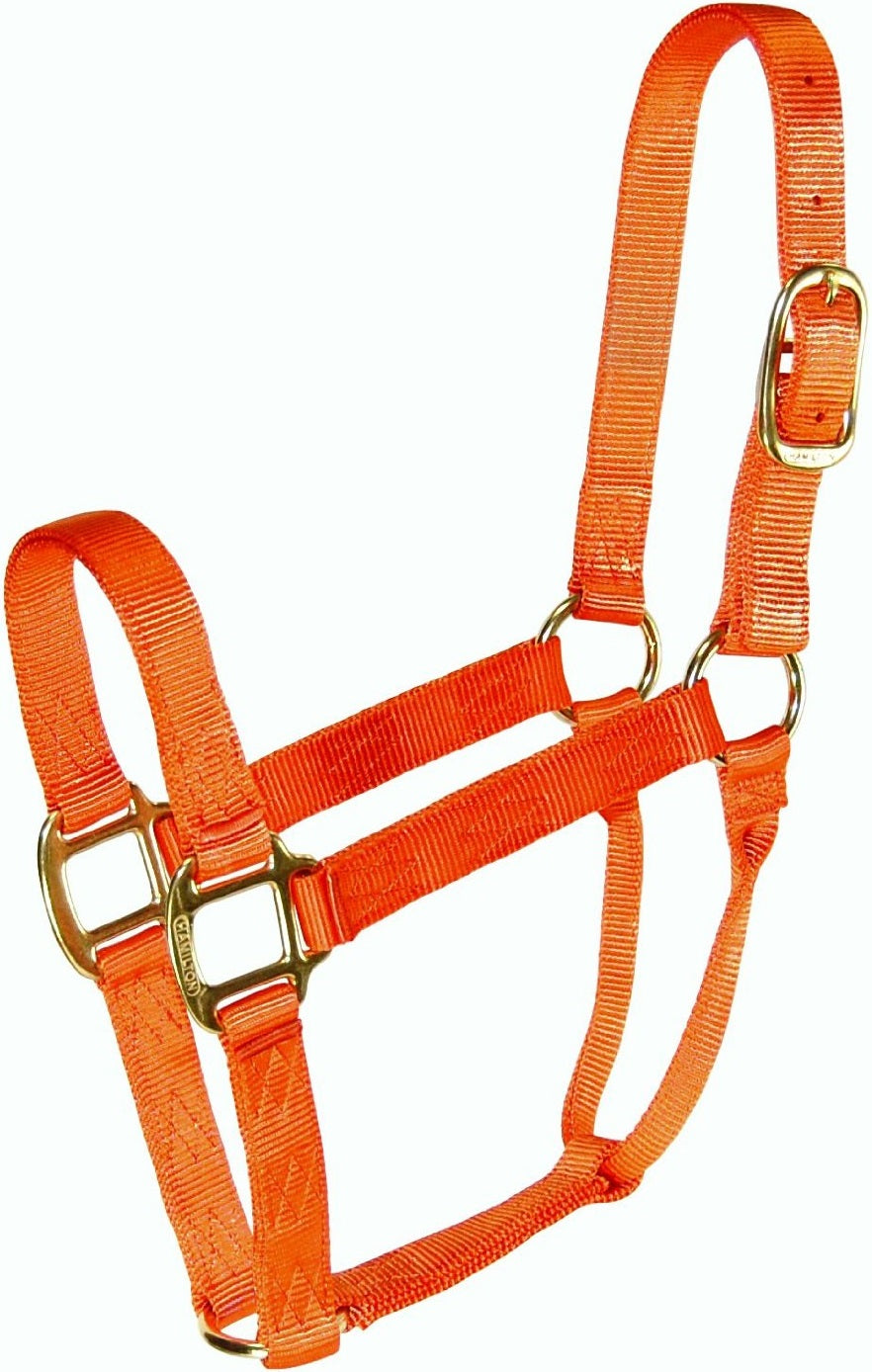 buy horse tack at cheap rate in bulk. wholesale & retail farm maintenance tool & kits store.