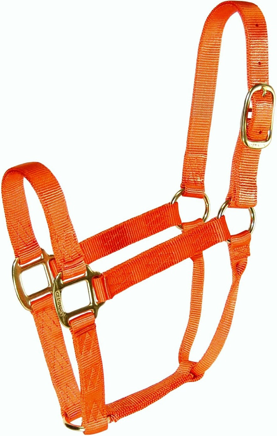 buy horse tack at cheap rate in bulk. wholesale & retail farm essentials & goods store.