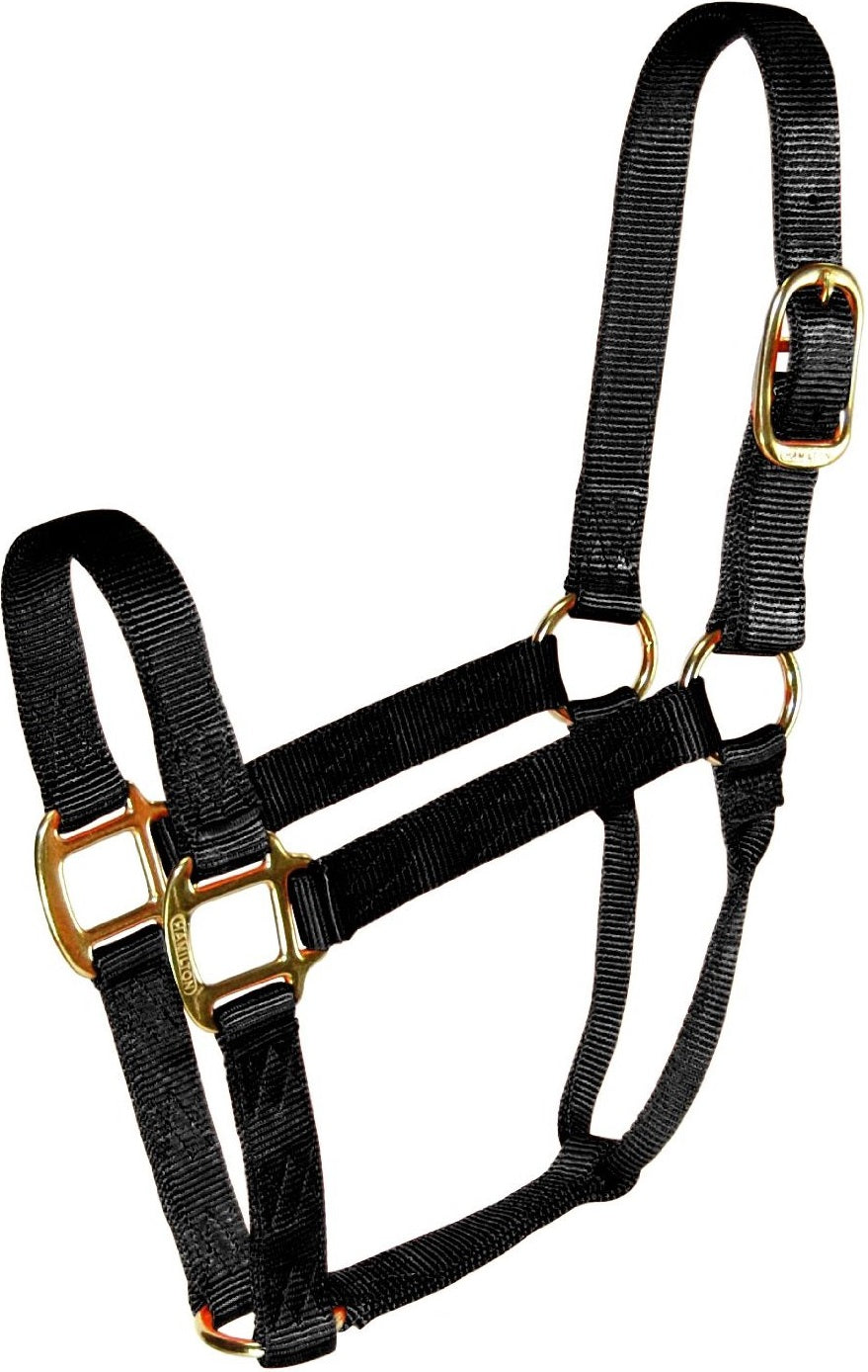 buy horse tack at cheap rate in bulk. wholesale & retail farm livestock supplies store.