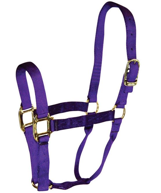 buy horse tack at cheap rate in bulk. wholesale & retail farm livestock equipments & tools store.