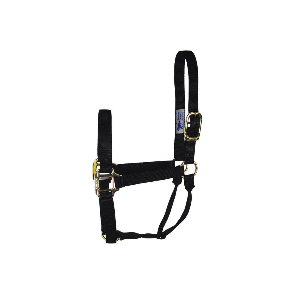 buy horse tack at cheap rate in bulk. wholesale & retail farm essentials & goods store.