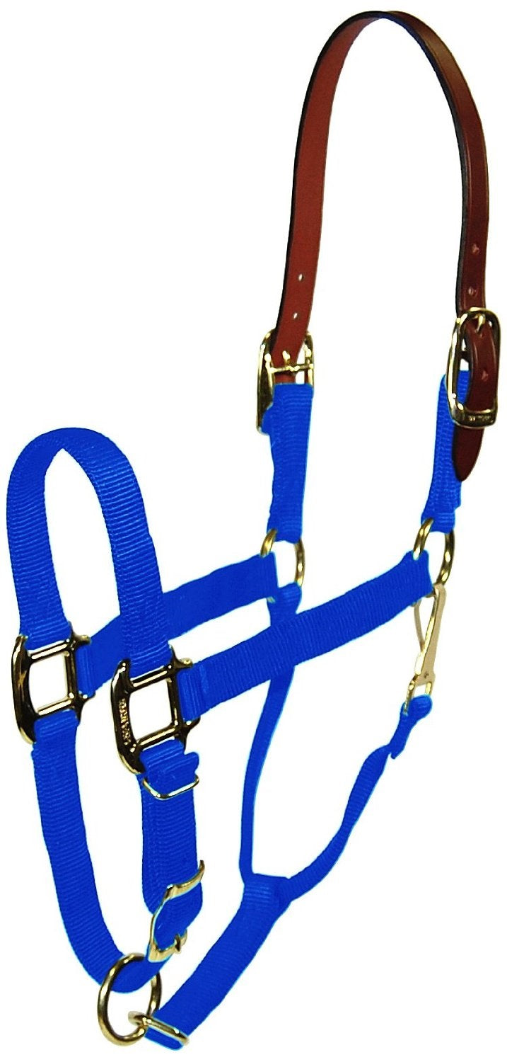 buy horse tack at cheap rate in bulk. wholesale & retail farm essentials & goods store.