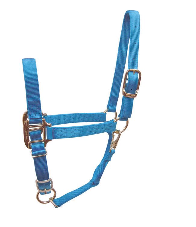 buy horse tack at cheap rate in bulk. wholesale & retail farm maintenance goods store.