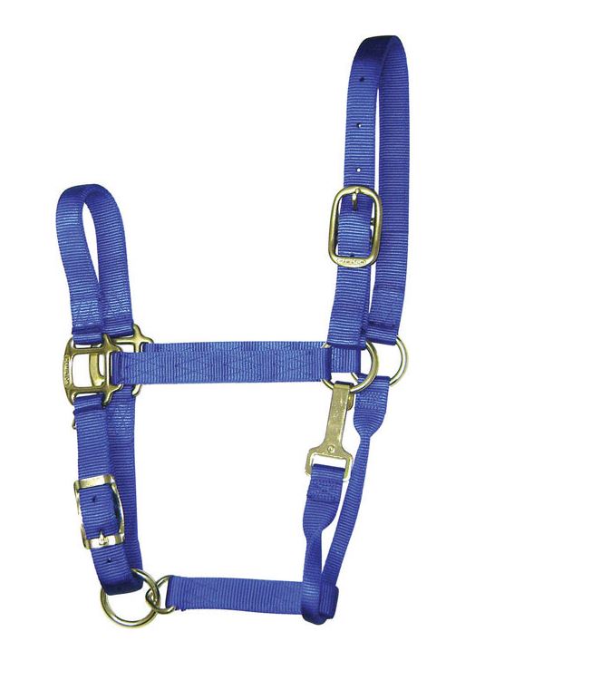 buy horse tack at cheap rate in bulk. wholesale & retail farm maintenance tool & kits store.