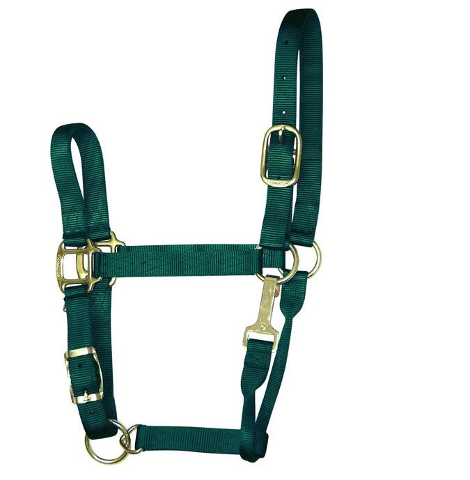 buy horse tack at cheap rate in bulk. wholesale & retail farm livestock supplies store.