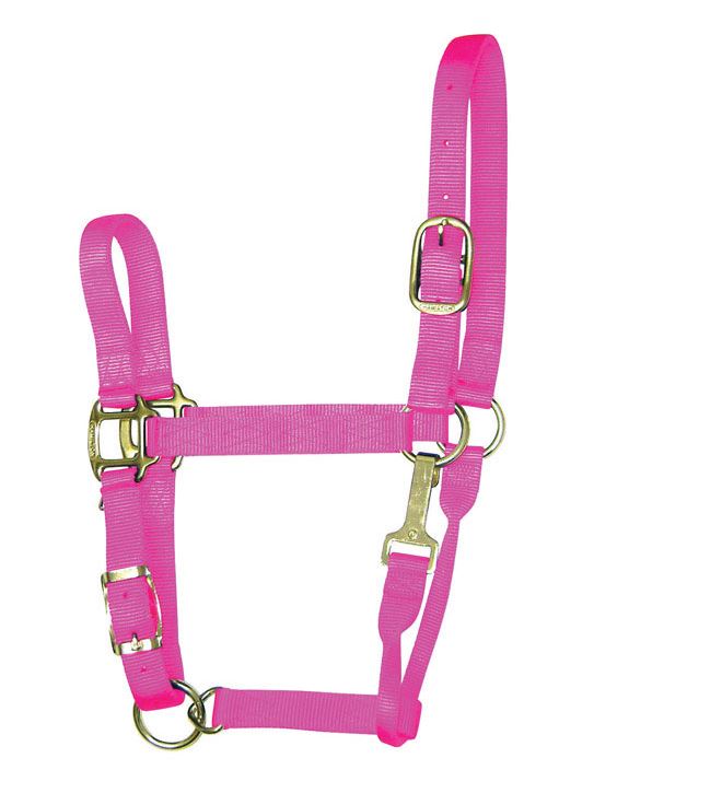 buy horse tack at cheap rate in bulk. wholesale & retail farm maintenance supplies store.