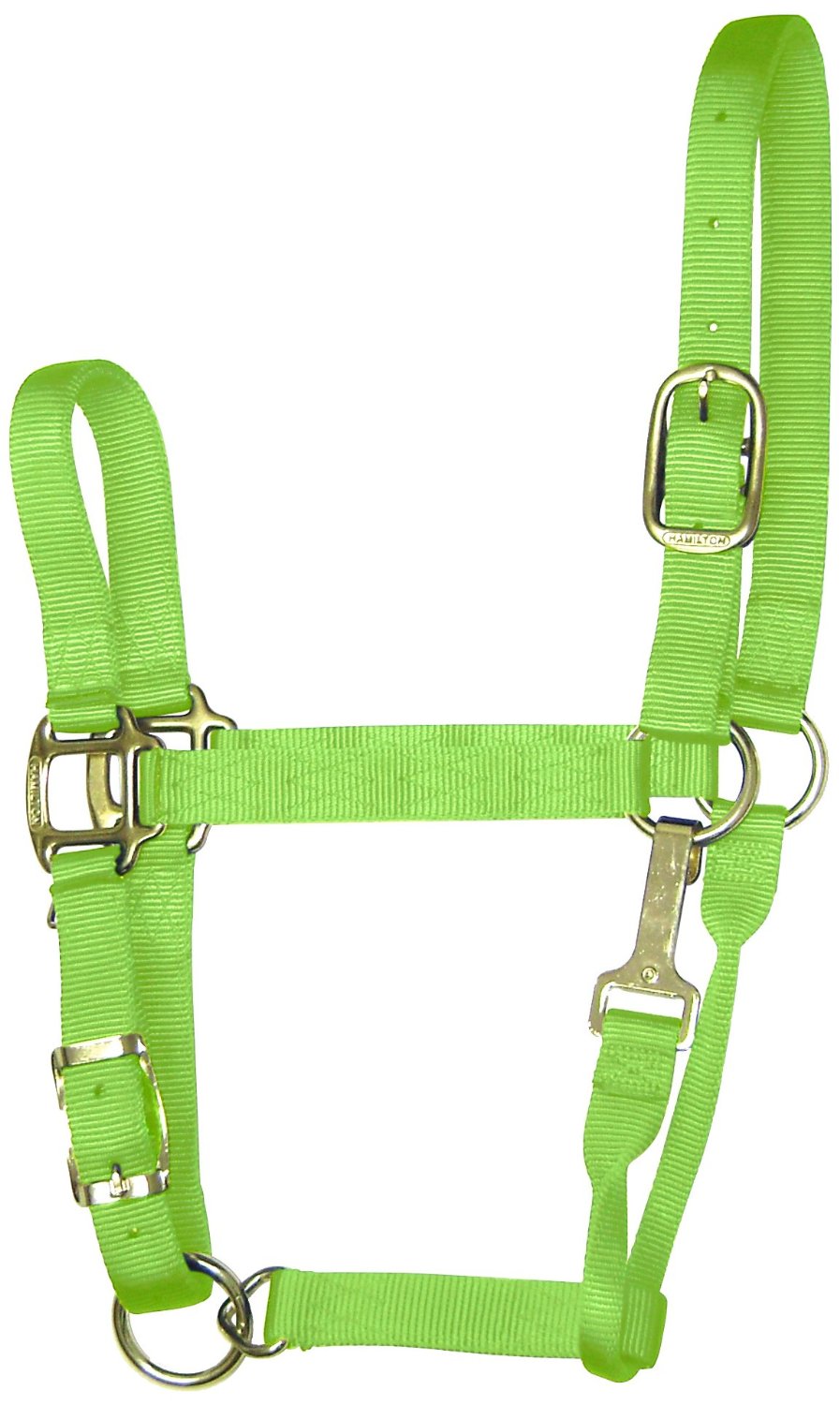 buy horse tack at cheap rate in bulk. wholesale & retail farm management items store.