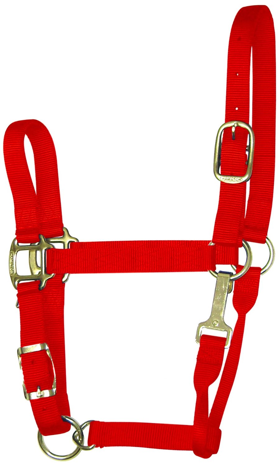 buy horse tack at cheap rate in bulk. wholesale & retail farm maintenance equipments store.
