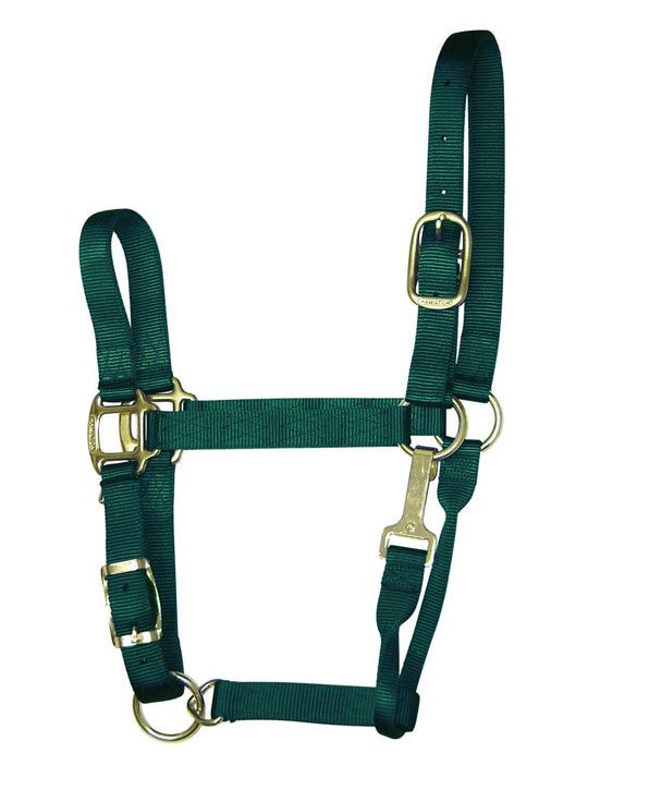 buy horse tack at cheap rate in bulk. wholesale & retail farm livestock tools & supply store.